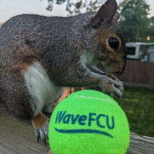 Wave Federal Credit Union